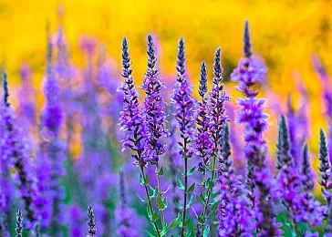 后末日探索游戏《生存地带：泰坦宝矿》现已在Steam平台正式推出